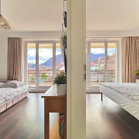 Premium * Brasov